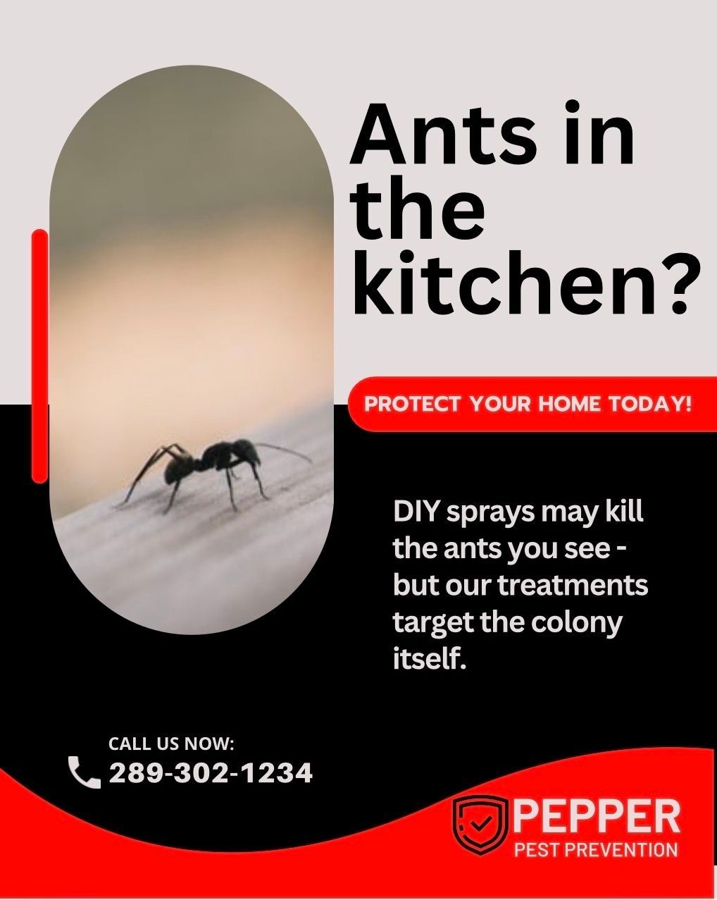 Pepper Pest Prevention residential ant control information
